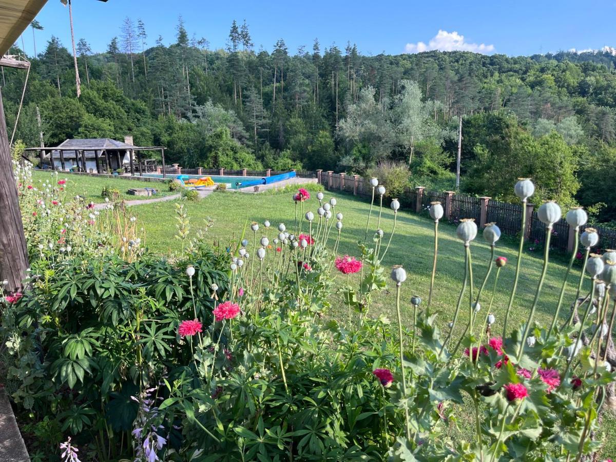 Vila Agriturismo Hidden Paradise Trjavna Exteriér fotografie