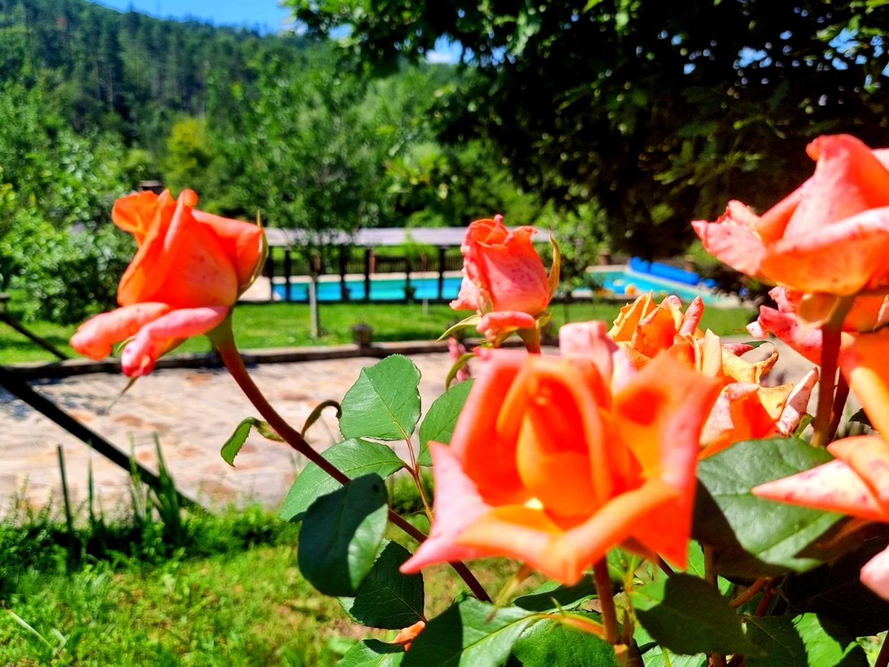 Vila Agriturismo Hidden Paradise Trjavna Exteriér fotografie