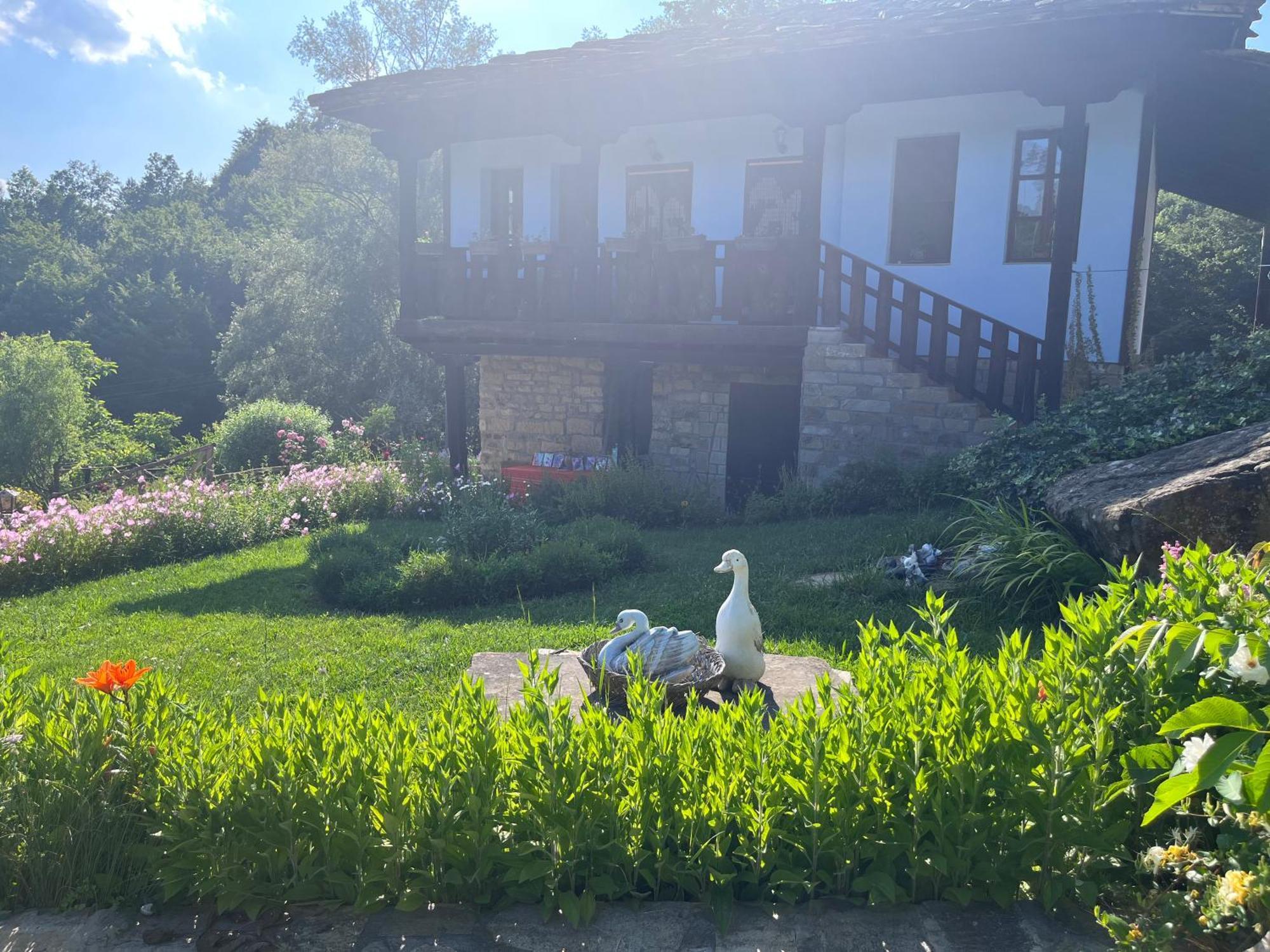Vila Agriturismo Hidden Paradise Trjavna Exteriér fotografie